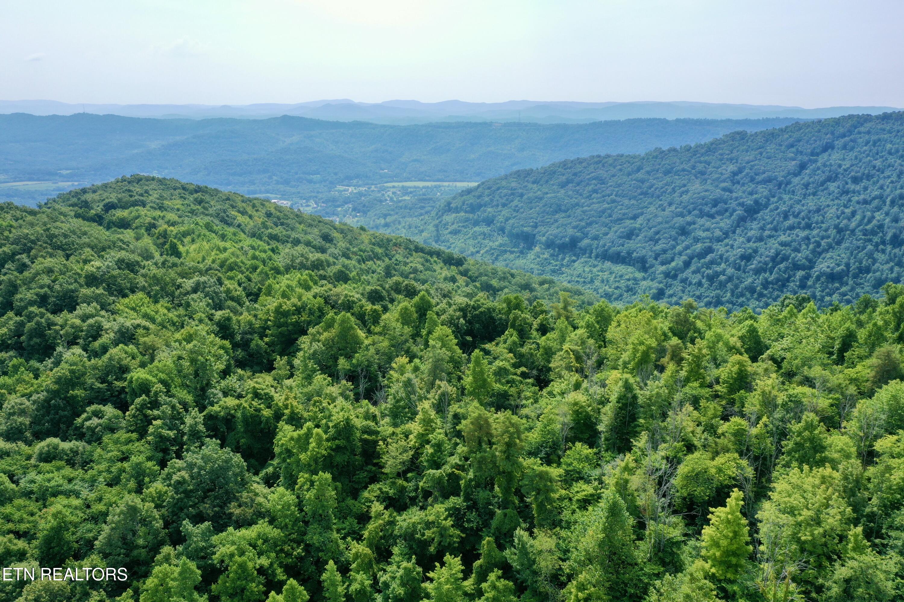 Wool Lane Newcomb, TN 37819 - Photo 41 of 59 tempImageFbqIDf