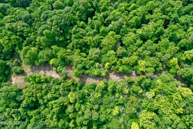 $4,800,000 | Wool Lane, Newcomb, TN 37819