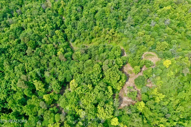 $4,800,000 | Wool Lane, Newcomb, TN 37819