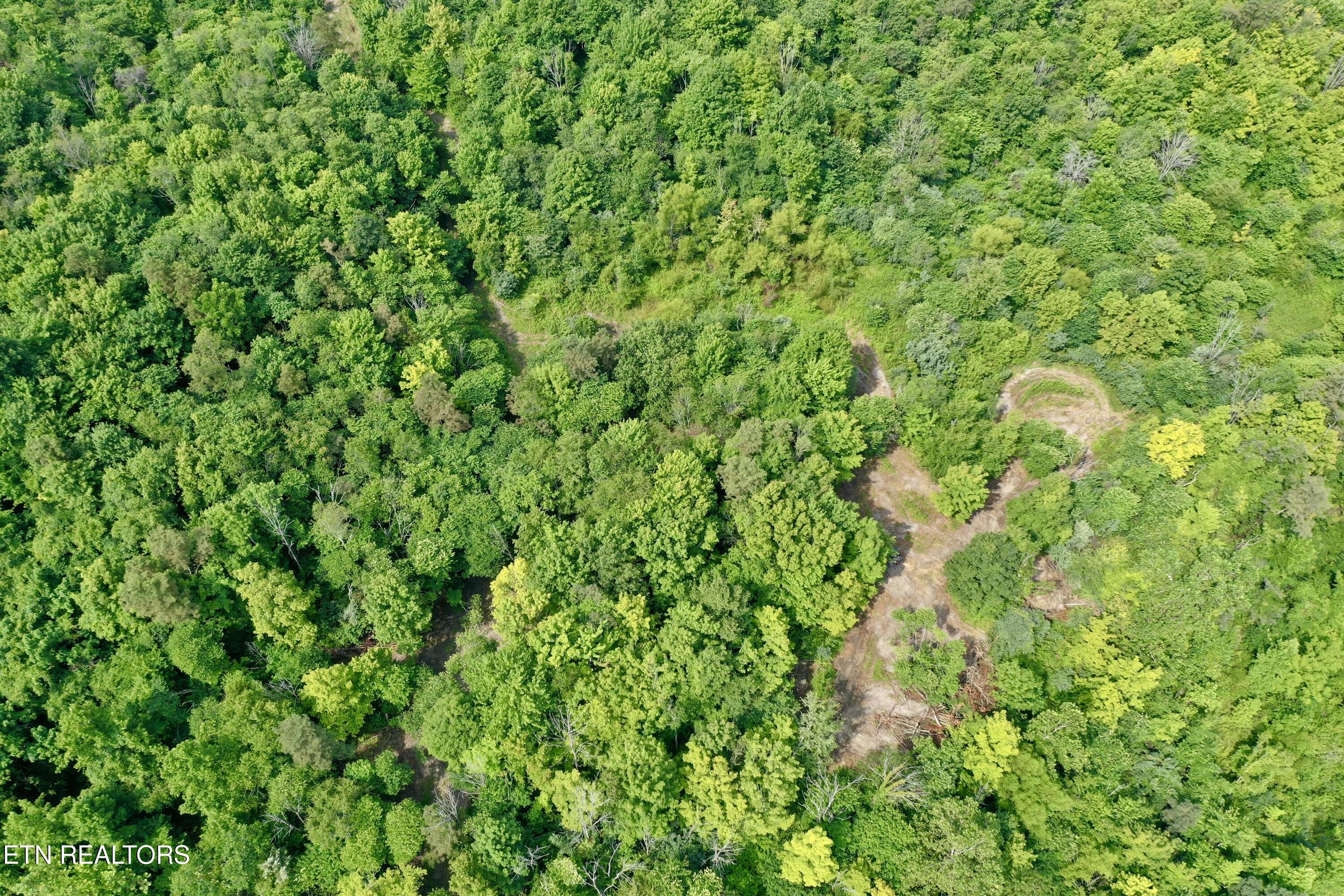 Wool Lane Newcomb, TN 37819 - Photo 43 of 59 tempImageVau73r