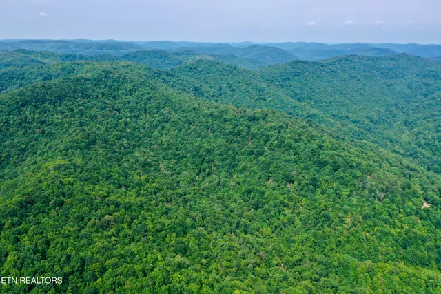 $4,800,000 | Wool Lane, Newcomb, TN 37819