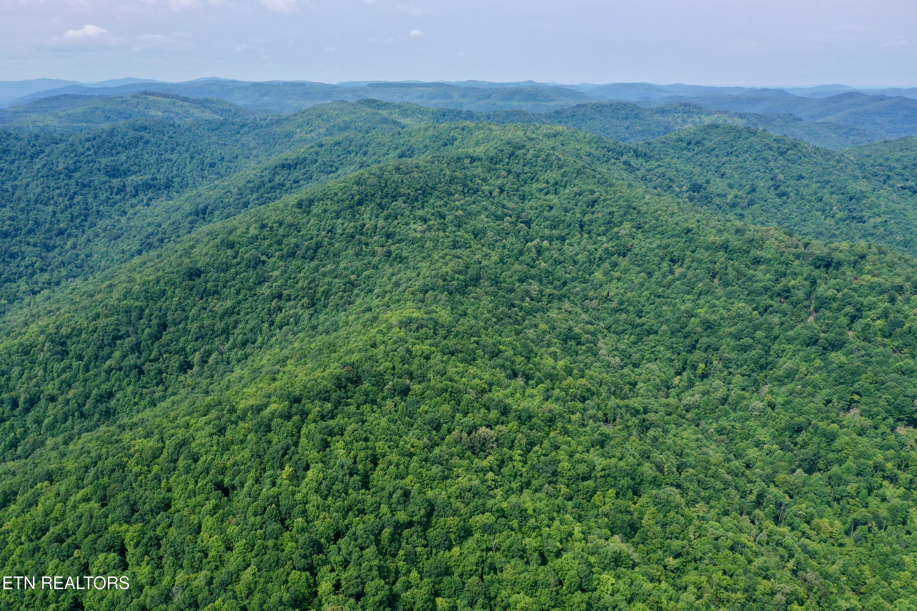 Wool Lane Newcomb, TN 37819 - Photo 47 of 59 tempImageTDnO38