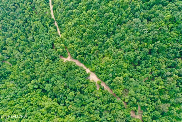 $4,800,000 | Wool Lane, Newcomb, TN 37819