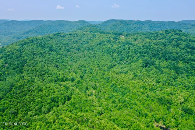 $4,800,000 | Wool Lane, Newcomb, TN 37819