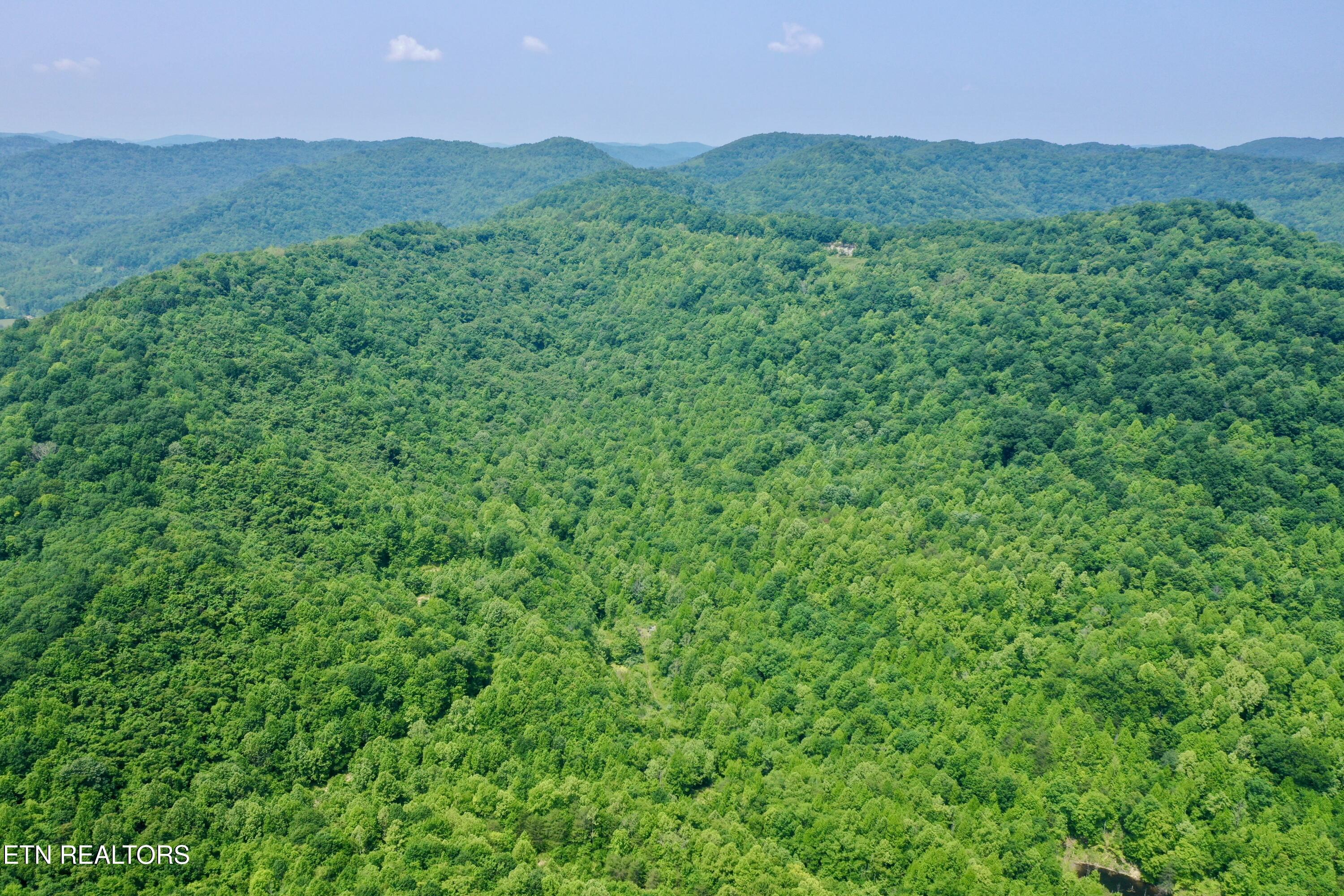 Wool Lane Newcomb, TN 37819 - Photo 50 of 59 tempImagexbreJR