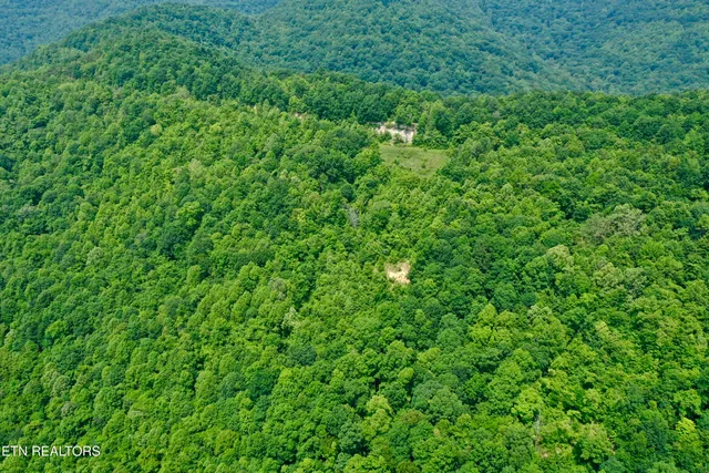 $4,800,000 | Wool Lane, Newcomb, TN 37819