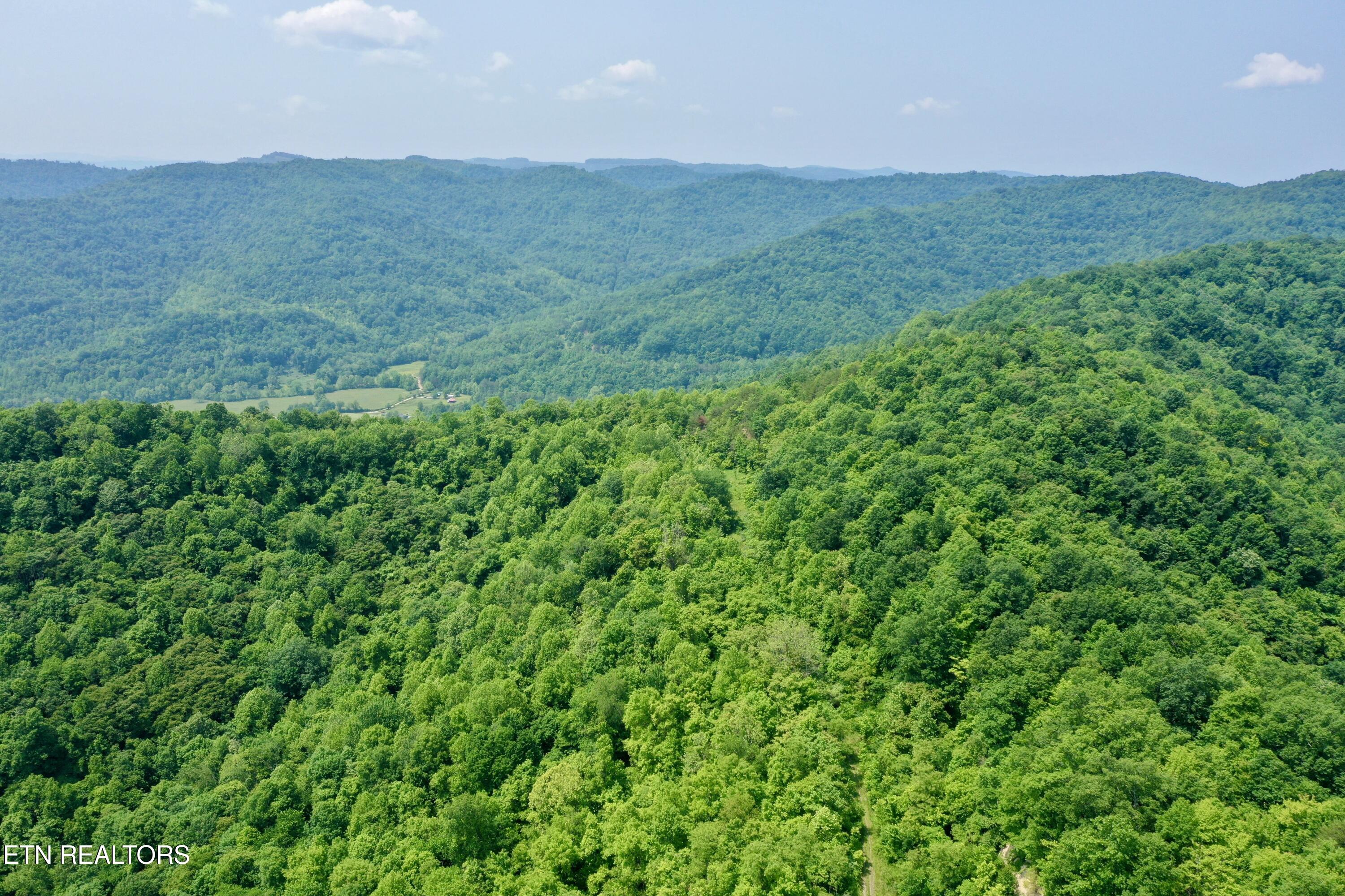 Wool Lane Newcomb, TN 37819 - Photo 52 of 59 tempImageJnr01W