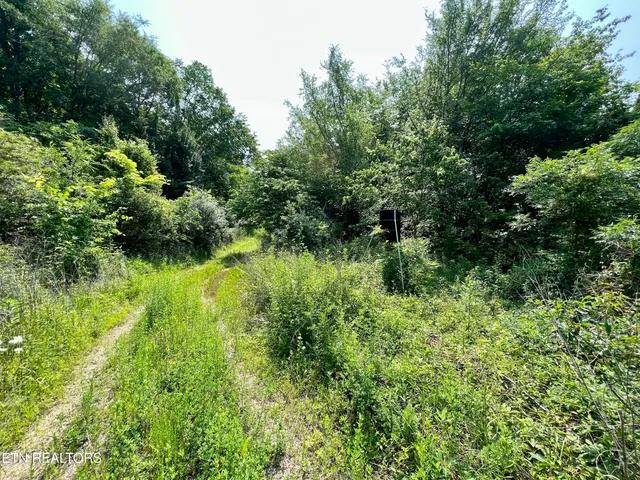 $4,800,000 | Wool Lane, Newcomb, TN 37819