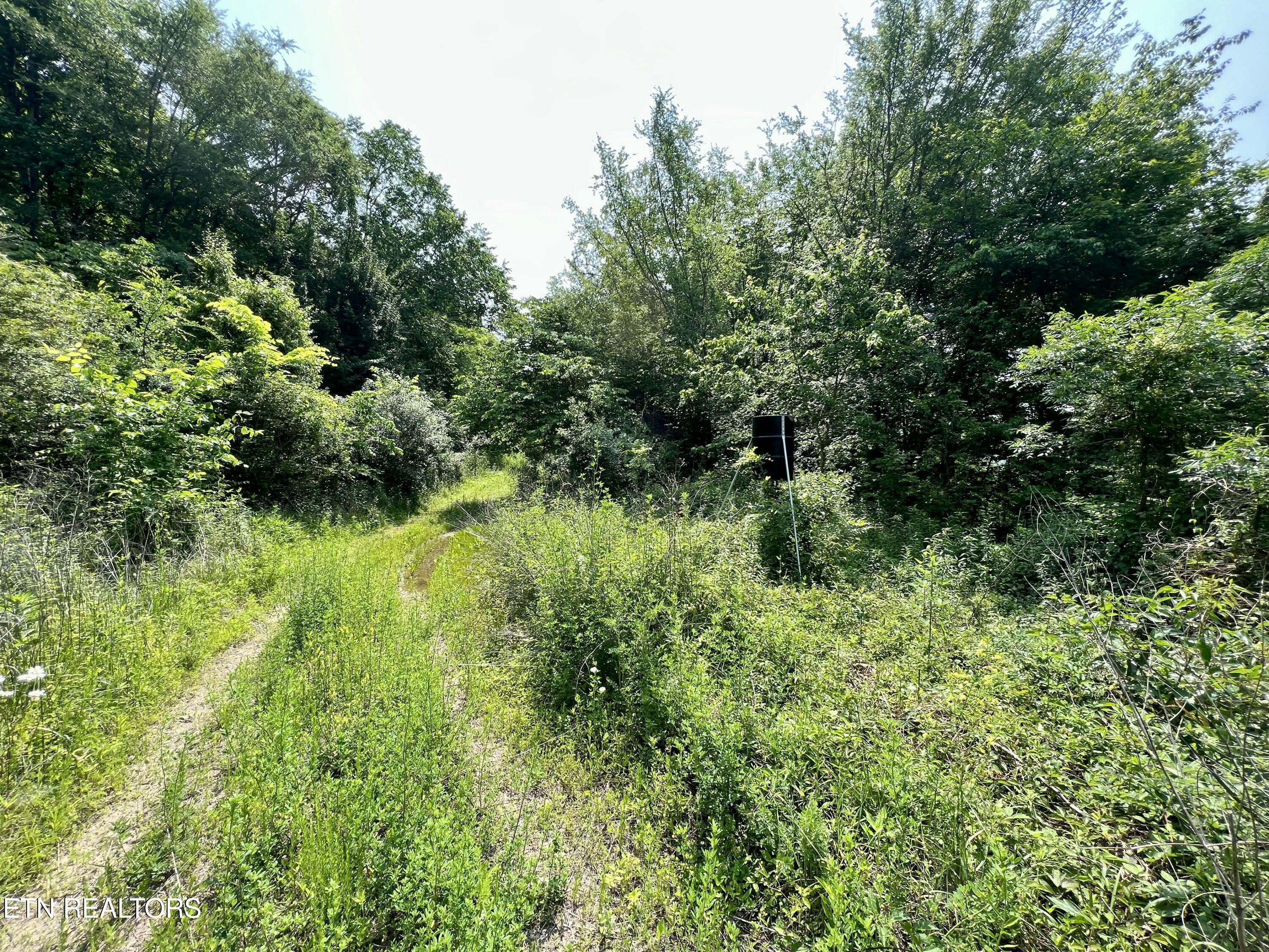 Wool Lane Newcomb, TN 37819 - Photo 53 of 59 tempImageNxhfZx