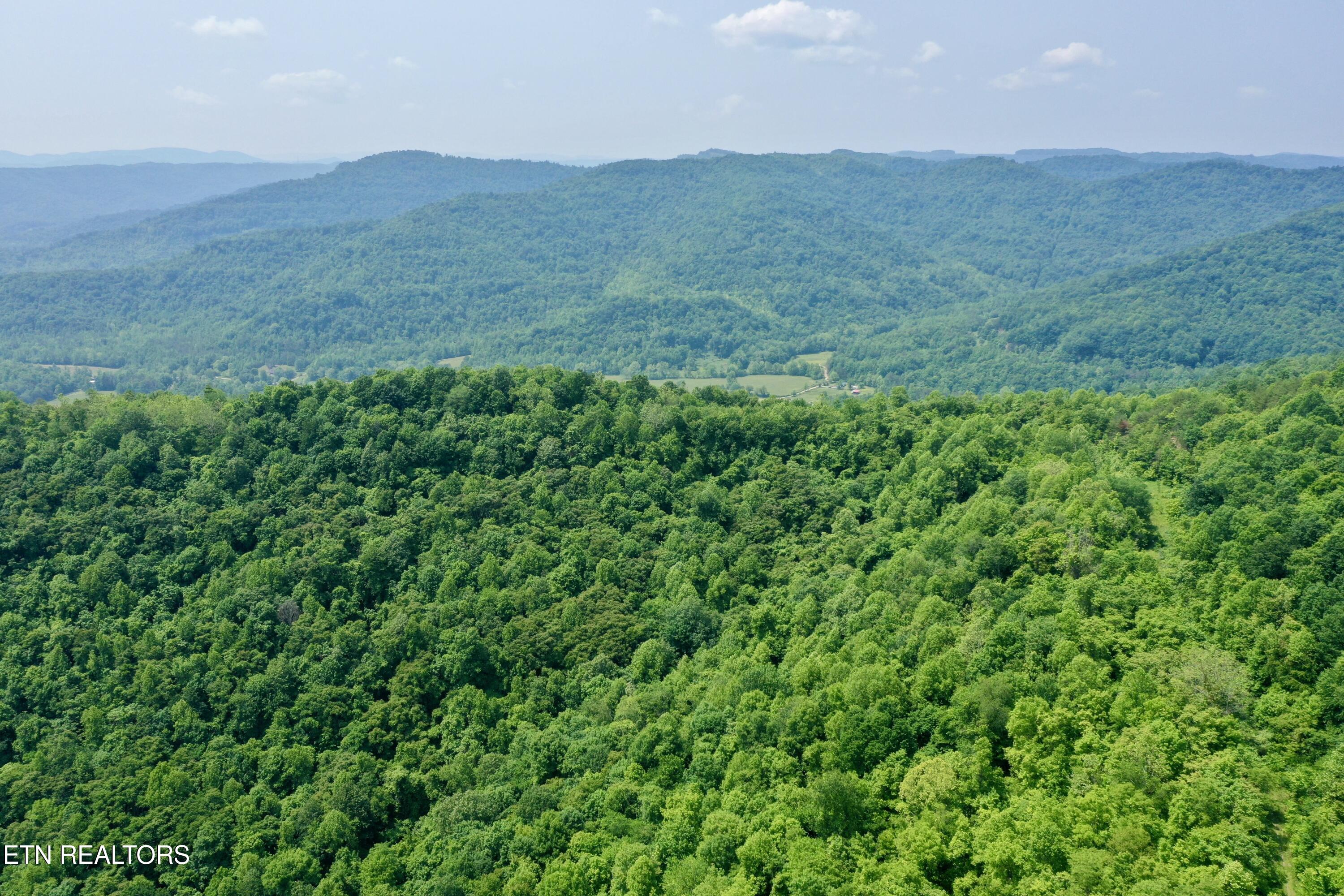 Wool Lane Newcomb, TN 37819 - Photo 54 of 59 tempImage4OeJPD