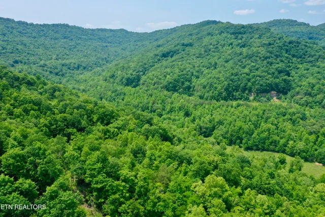 $4,800,000 | Wool Lane, Newcomb, TN 37819