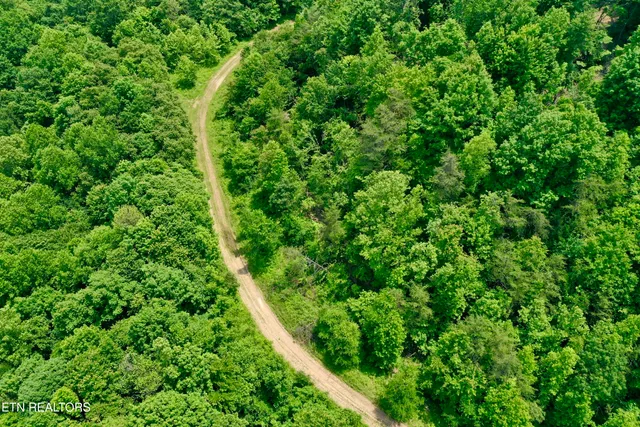 $4,800,000 | Wool Lane, Newcomb, TN 37819