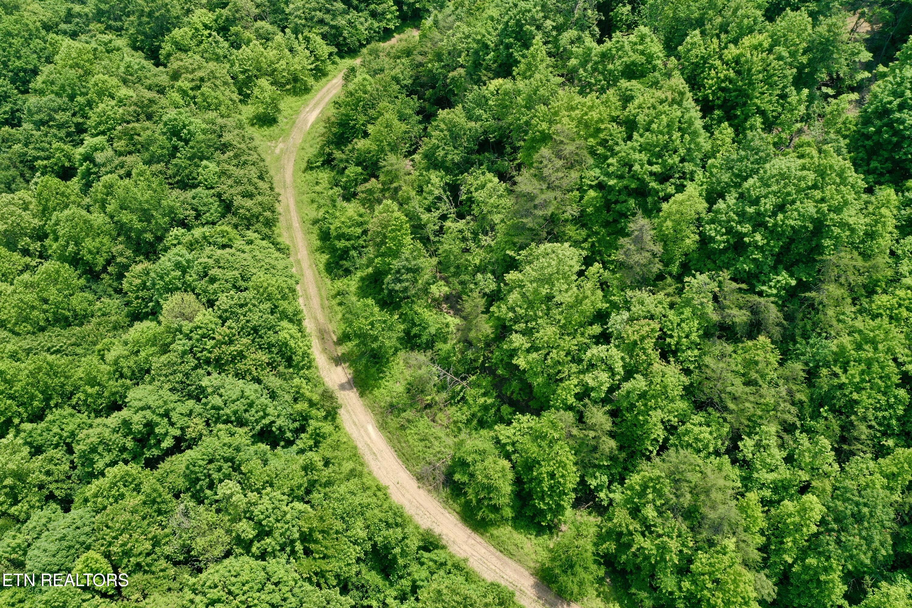 Wool Lane Newcomb, TN 37819 - Photo 6 of 59 tempImageyVz7oa