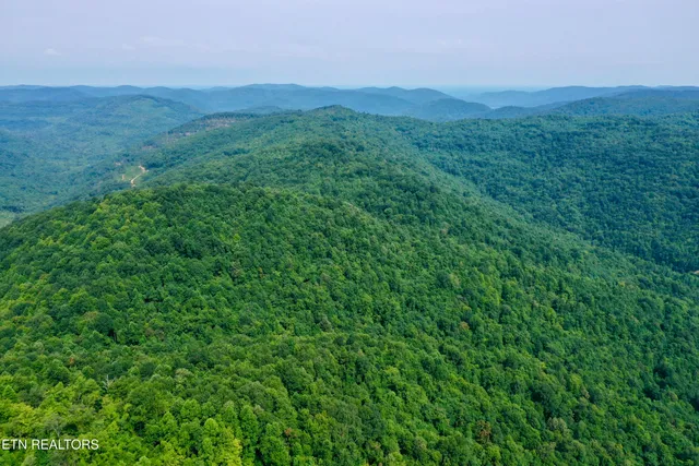 $4,800,000 | Wool Lane, Newcomb, TN 37819