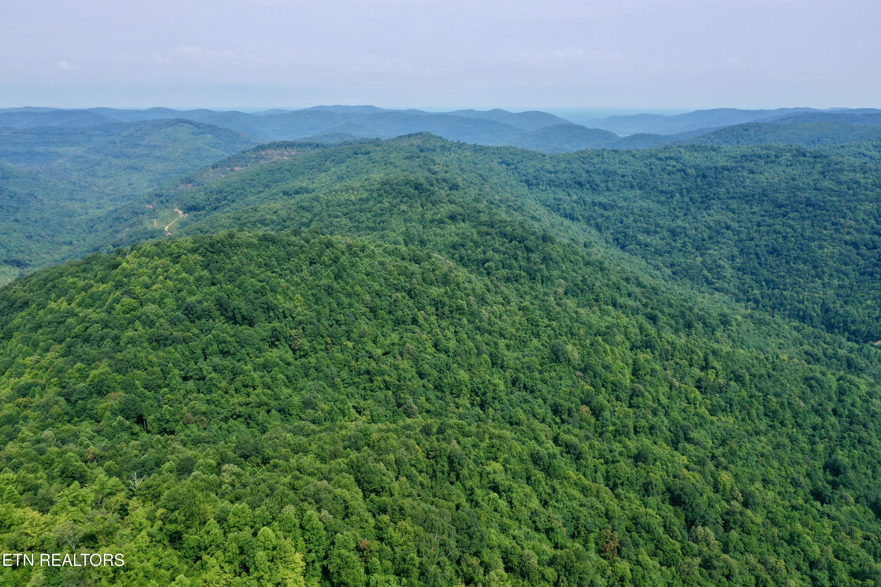 Wool Lane Newcomb, TN 37819 - Photo 8 of 59 tempImagezeb9ta