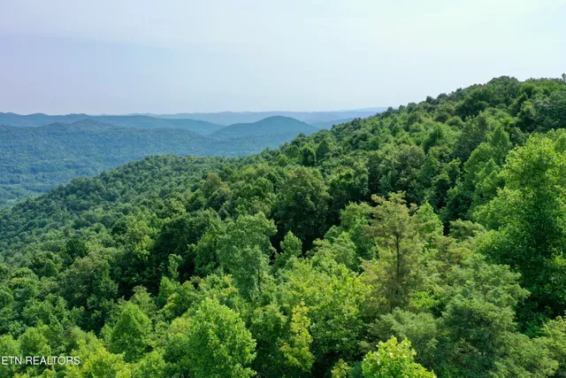 $4,800,000 | Wool Lane, Newcomb, TN 37819