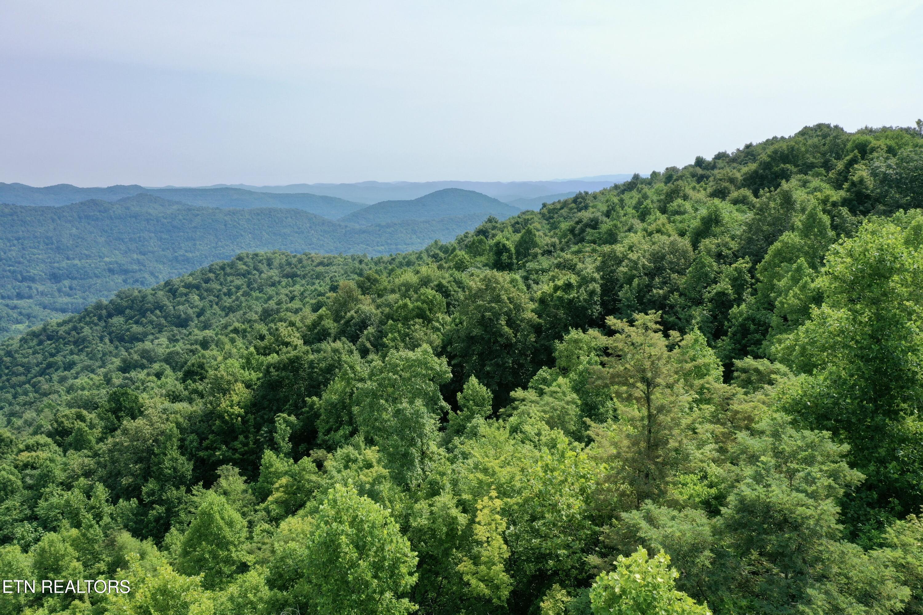 Wool Lane Newcomb, TN 37819 - Photo 10 of 59 tempImageqt4MYa