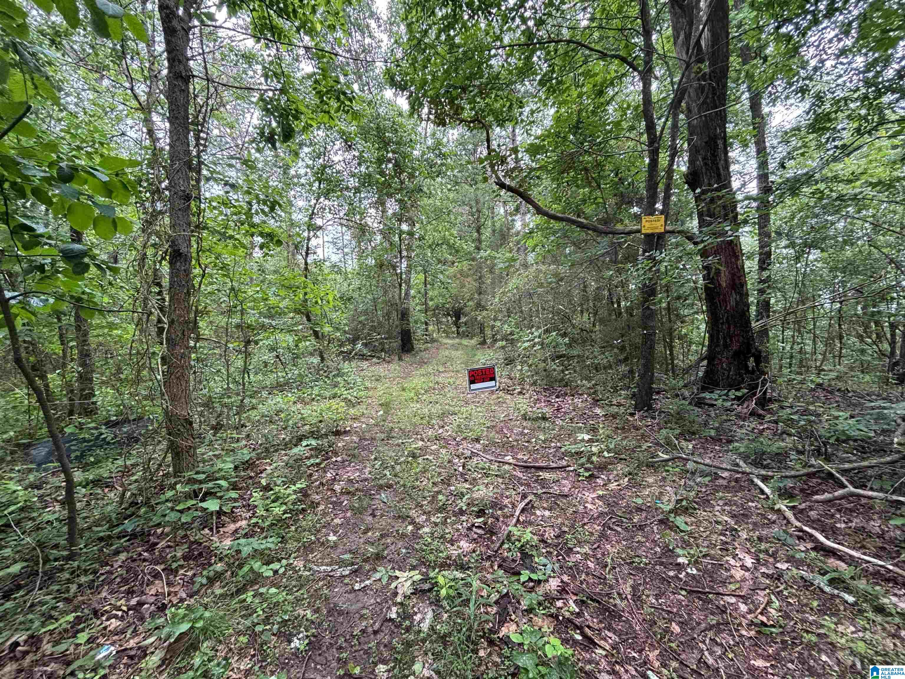 0 Bright Star Road, Unit 123 / ACRES Horton, AL 35980 - Photo 16 of 21