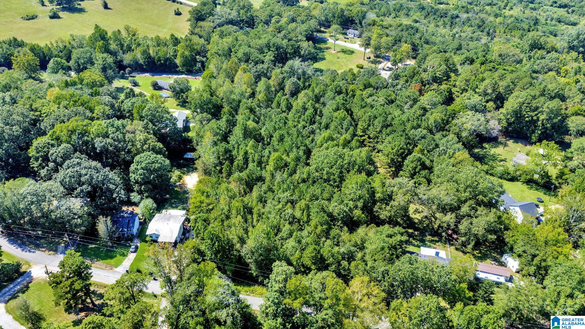6659 Burchfield Loop McCalla, AL 35111 - Photo 6 of 7