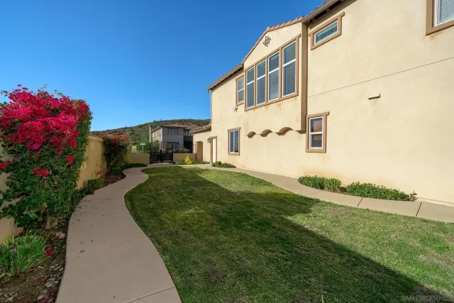 a view of a garden with a mountain