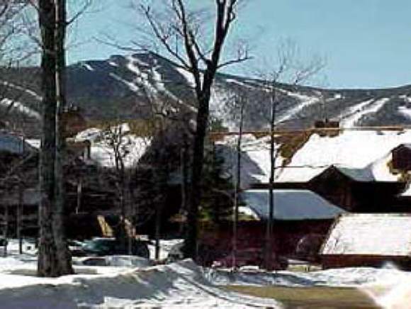 11 High Ridge Road, Unit 11 Killington, VT 05751 - Photo 1 of 9 Gallery Image 1