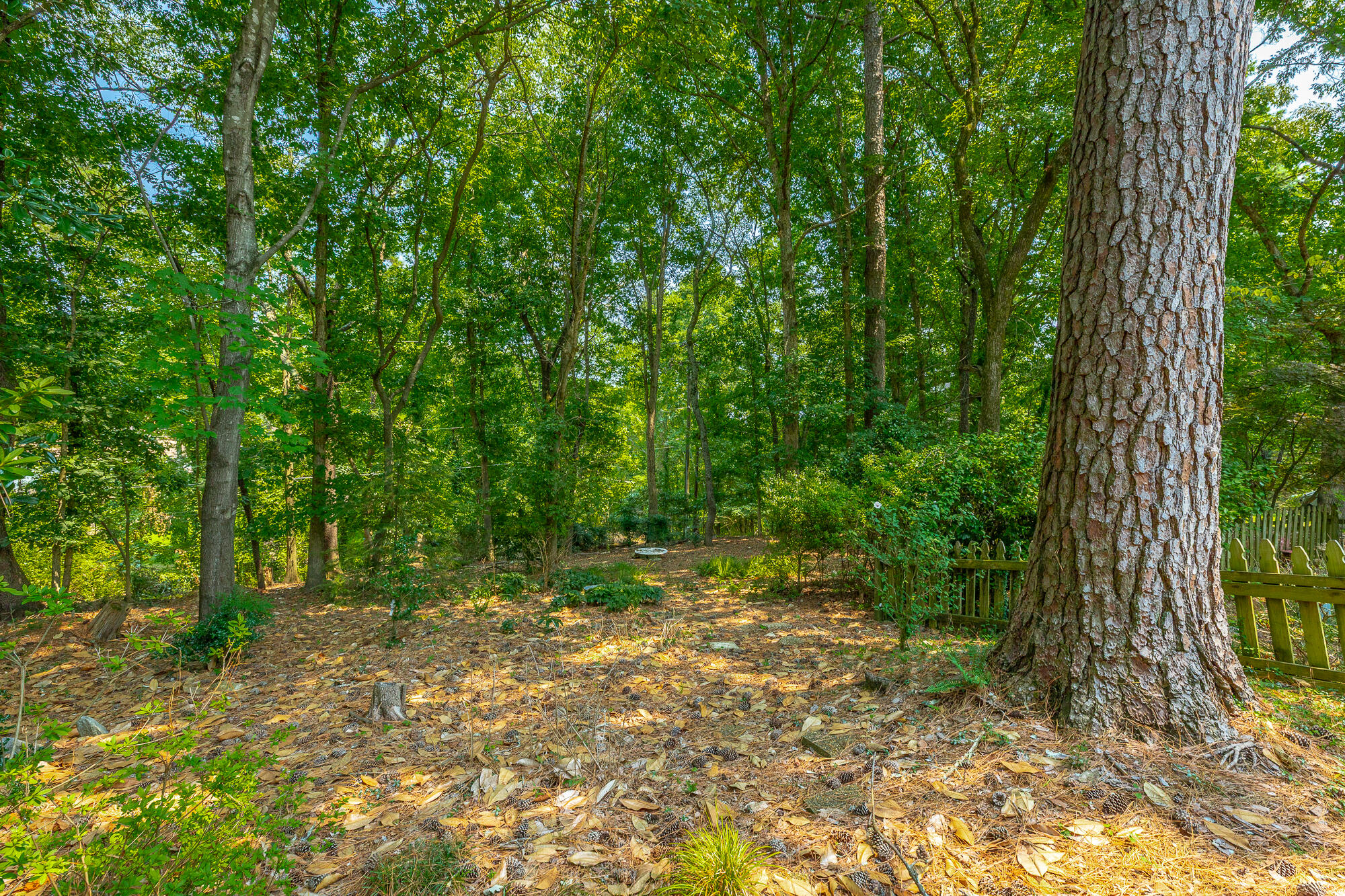 4180 Gann Store Road Hixson, TN 37343 - Photo 47 of 53 4180 Gann Store Road HD-70