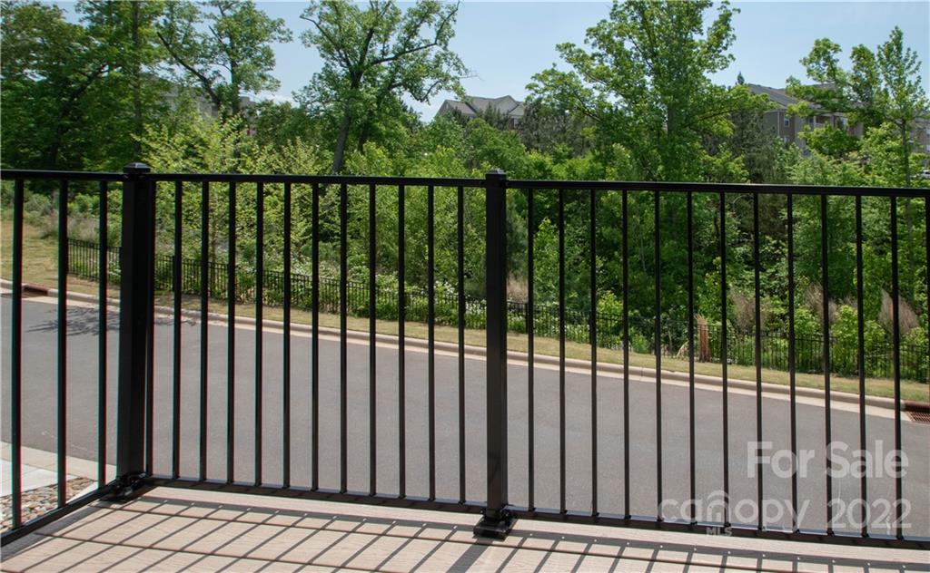 820 Ruckers Court Tega Cay, SC 29708 - Photo 18 of 46 a view of a balcony