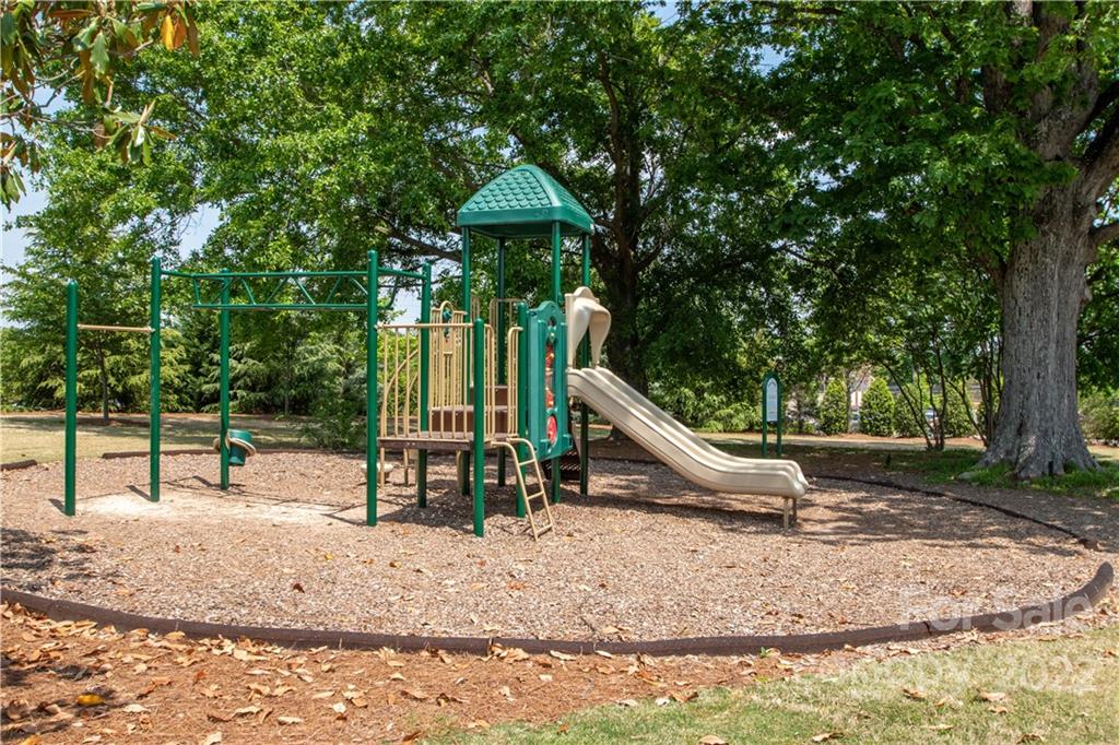 820 Ruckers Court Tega Cay, SC 29708 - Photo 43 of 46 a view of outdoor space with garden