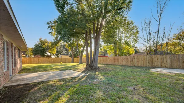 a view of backyard with large trees and wooden fence