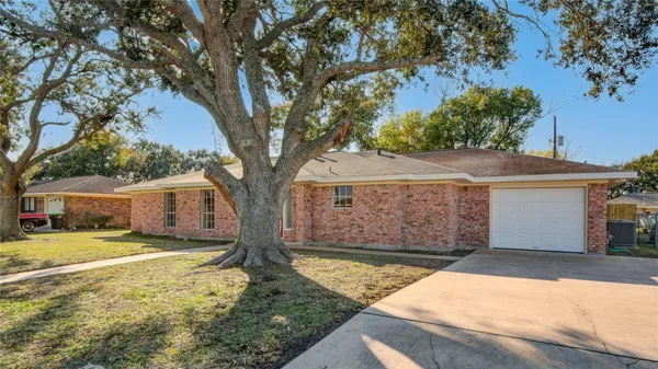 a view of a yard with a large tree