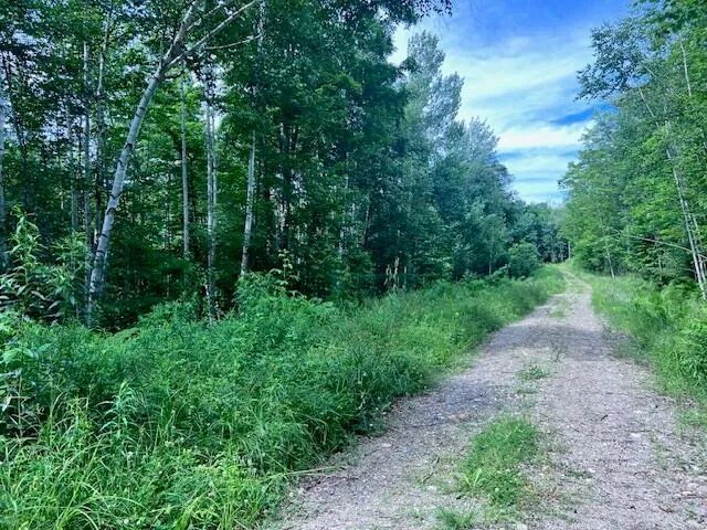 $49,999 | Lot 14-d-2 Lot 14-d-2 Music Road, Farmington, ME 04938