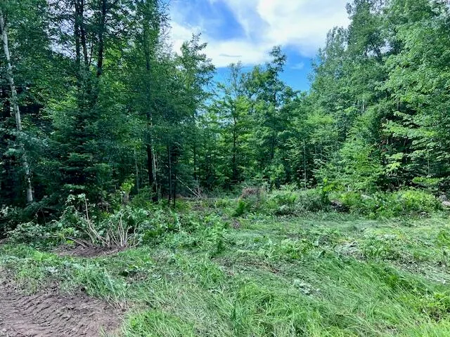 $49,999 | Lot 14-d-2 Lot 14-d-2 Music Road, Farmington, ME 04938