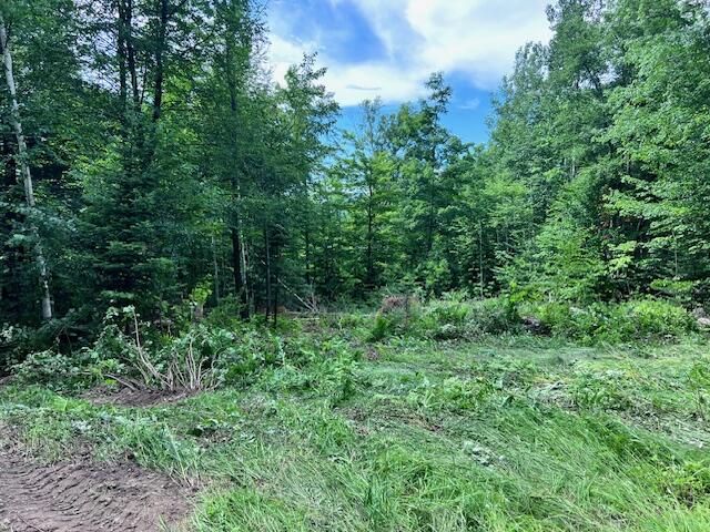 Lot 14-d-2 Lot 14-d-2 Music Road Farmington, ME 04938 - Photo 4 of 8 Partial clearing