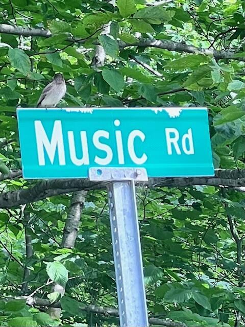 Lot 14-d-2 Lot 14-d-2 Music Road Farmington, ME 04938 - Photo 7 of 8 Nature on Music Road