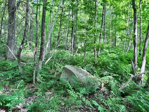 $49,999 | Lot 14-d-2 Lot 14-d-2 Music Road, Farmington, ME 04938