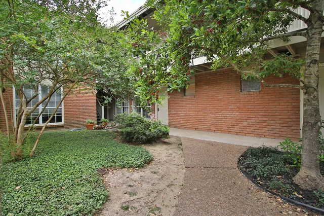 a backyard of a house with plants and large tree
