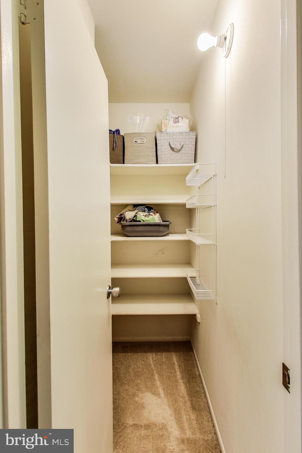 2184 Cartwright Place Reston, VA 20191 - Photo 32 of 46 Hall Storage Closet on second floor