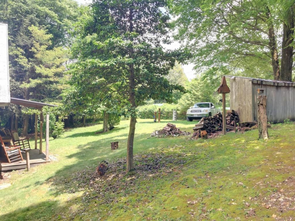 4510 Sentry Road Big Stone Gap, VA 24219 - Photo 6 of 29 Photo 6