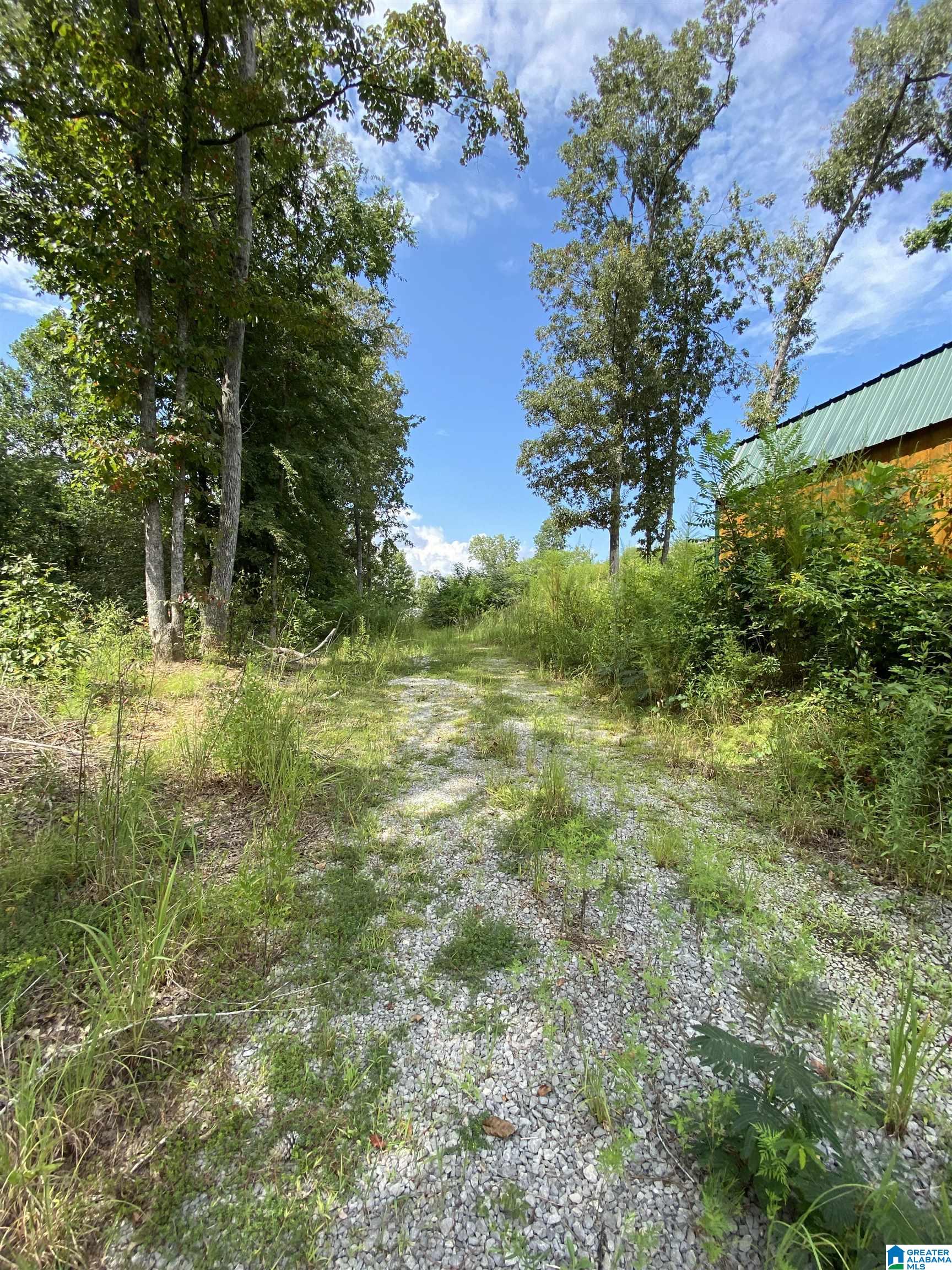 707 Sagebrush Road, Unit 12 Ashville, AL 35953 - Photo 7 of 8