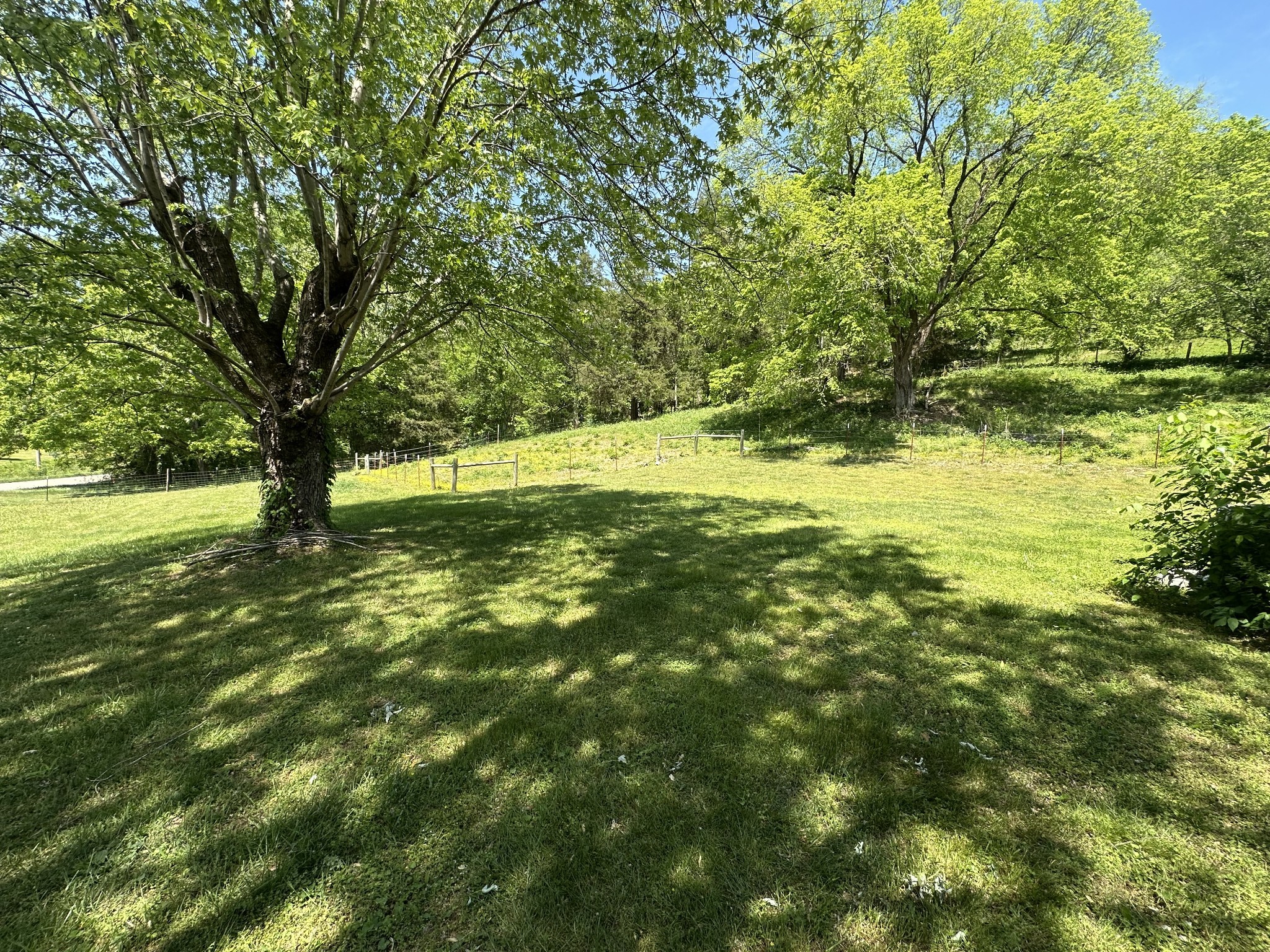 202 Maggart Road Elmwood, TN 38560 - Photo 38 of 59 Gallery Image 38