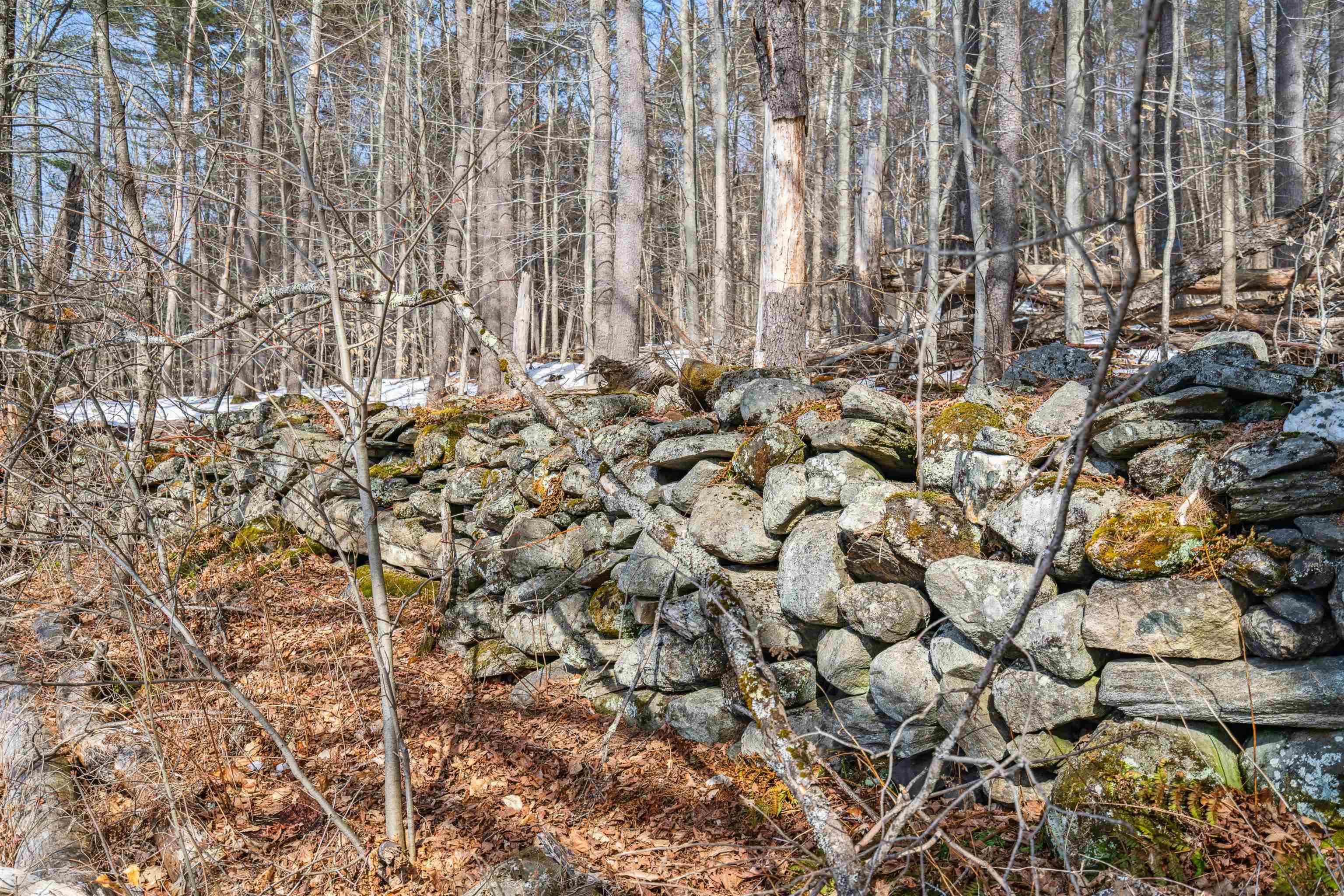 181 Banister Road West Windsor, VT 05089 - Photo 14 of 15