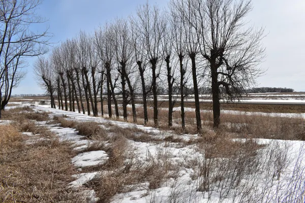 $50,000 | 66 Egeland Nd 58331, Egeland, ND 58331