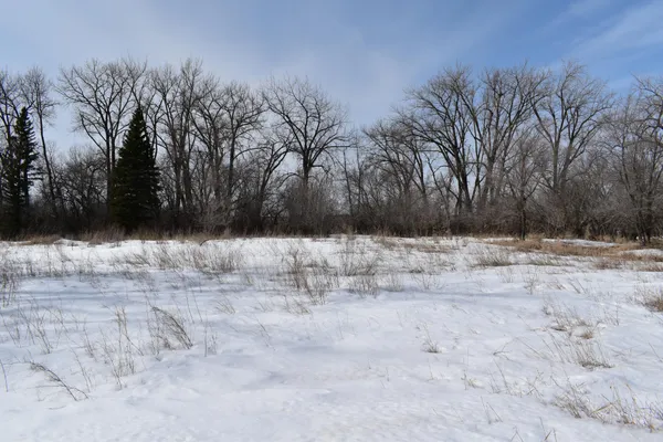 $50,000 | 66 Egeland Nd 58331, Egeland, ND 58331