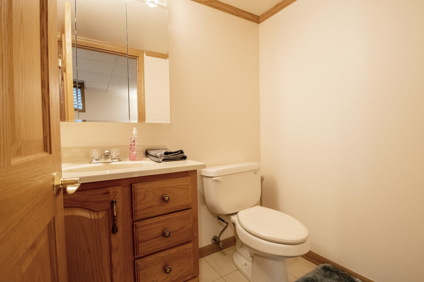 2317 Amanda Drive Spring Grove, IL 60081 - Photo 25 of 36