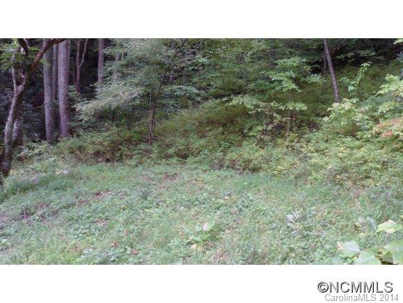 1002 Rector Branch Road Marshall, NC 28753 - Photo 2 of 5 Gallery Image 2
