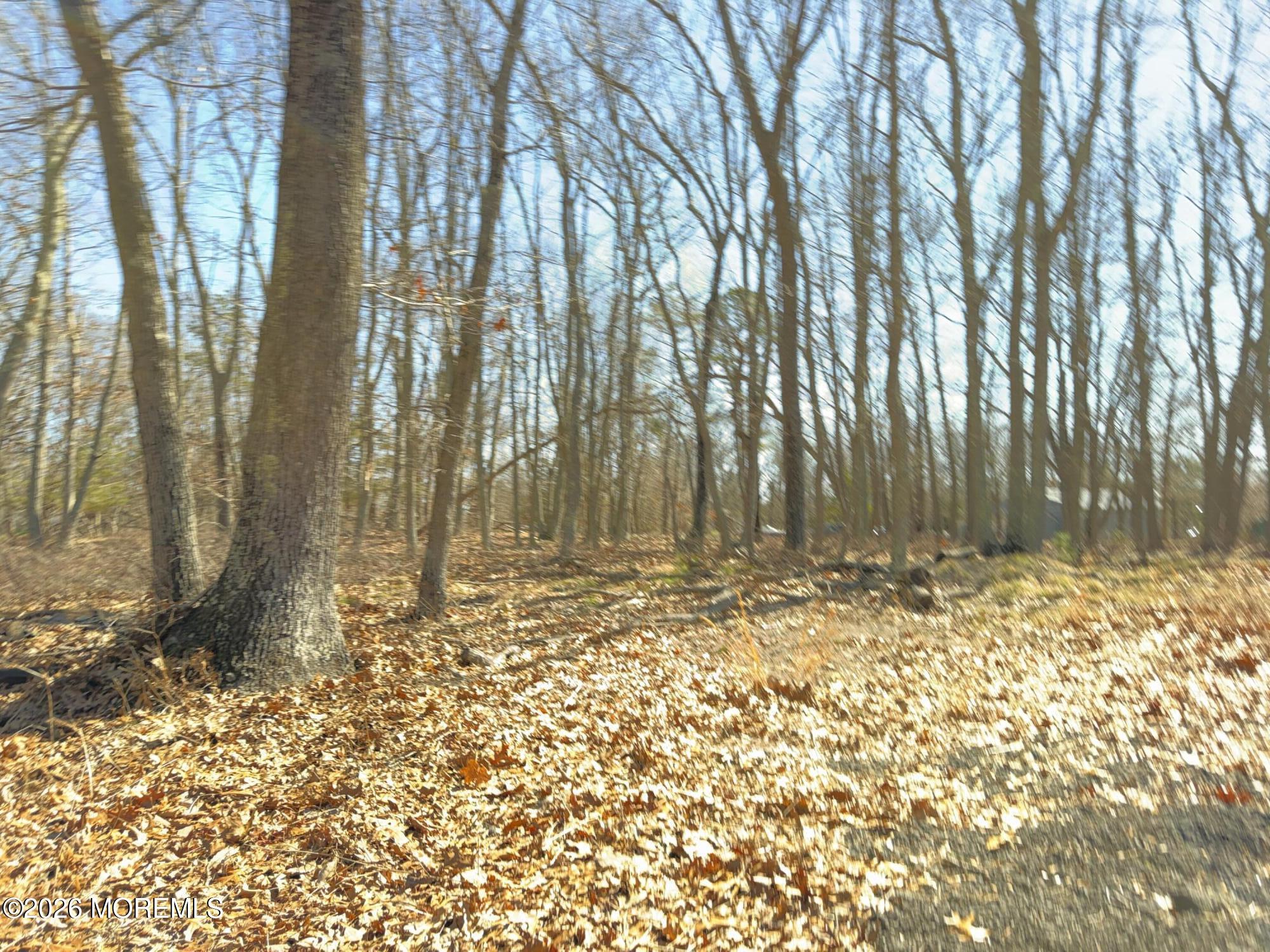 117 Driftway Road Howell, NJ 07731 - Photo 12 of 34 IMG_4573