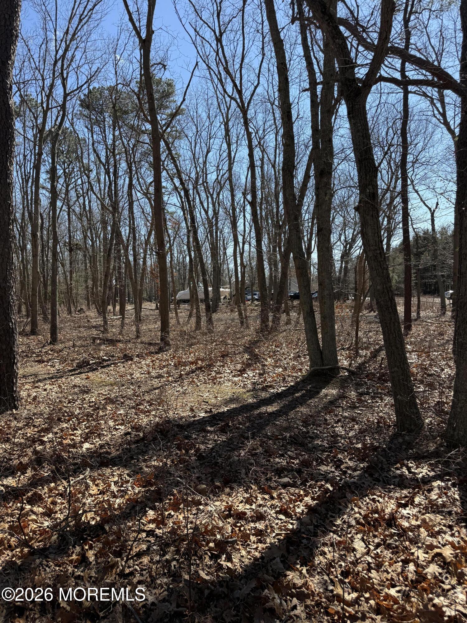 117 Driftway Road Howell, NJ 07731 - Photo 10 of 34 IMG_4571