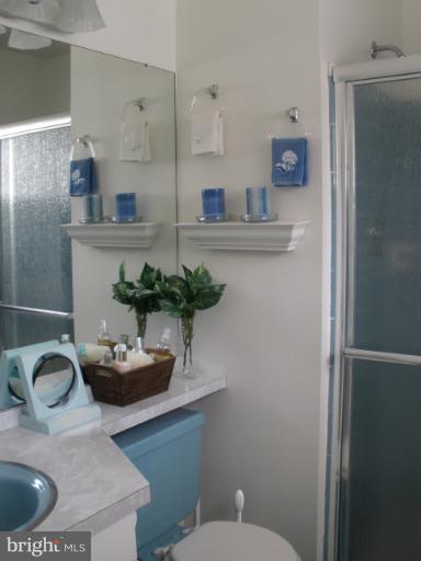 8337 Scotts Level Road Pikesville, MD 21208 - Photo 18 of 21 Bath (Master)