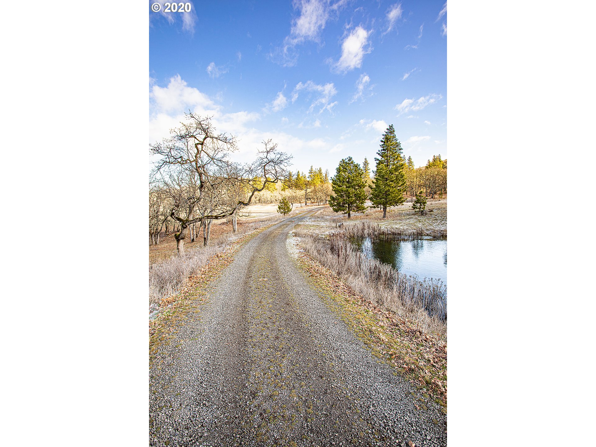 25 Rappe Drive Lyle, WA 98635 - Photo 25 of 32 Gallery Image 25