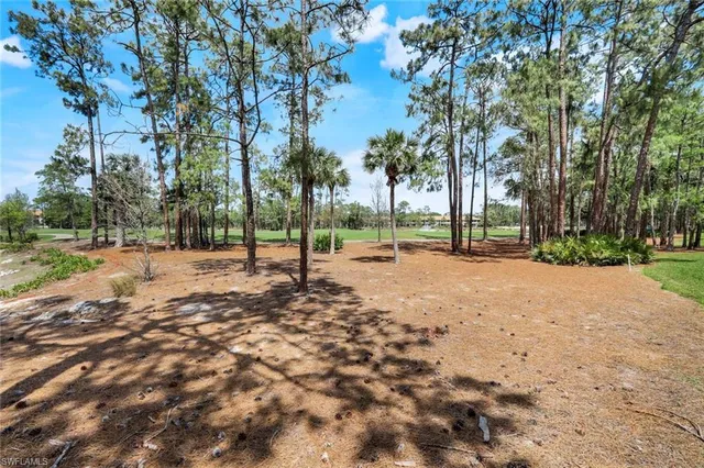 a view of road with trees